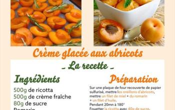 Idées de recette pour l'été !!! Crème glacée