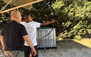 Activité tir à l'arc