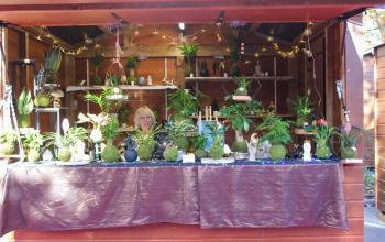 Retour sur le Marché de Noël 2025