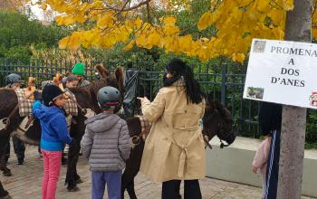 Retour sur la Saint Nicolas 2025