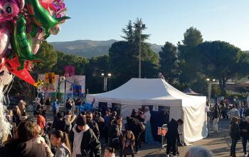 Retour sur le Marché de Noël 2025