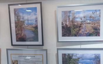 exposition "LA POMME Quartier d'Hier &amp; d'Aujourd'hui"