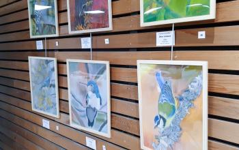 Retour en images sur le vernissage de l'exposition "ESPACES"