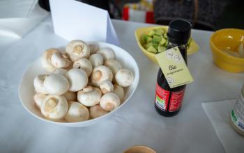 Retour en images sur la Journée de la Femme 2026
