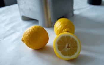 Retour en images sur la Journée de la Femme 2026