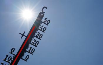 Vigilance canicule