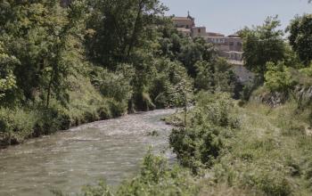 Entretien des sites de plantations sur l’Huveaune